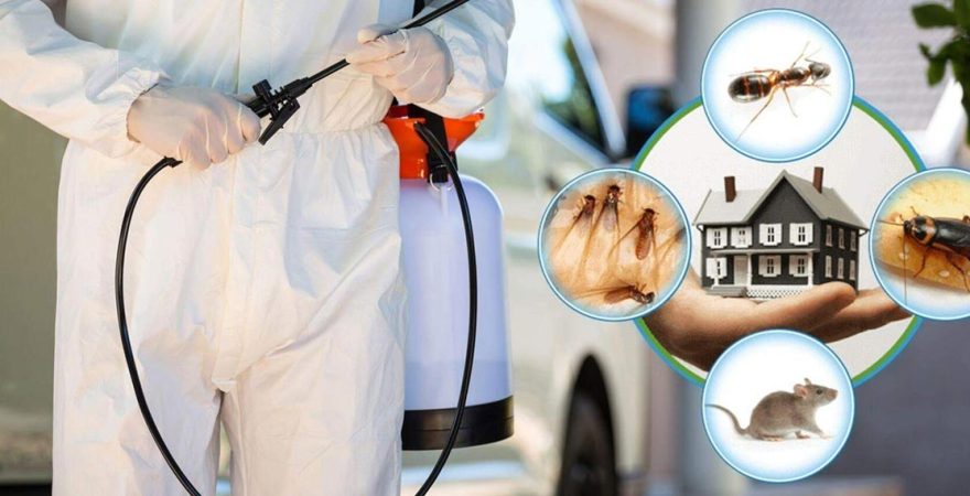 Viranşehir Böcek İlaçlama