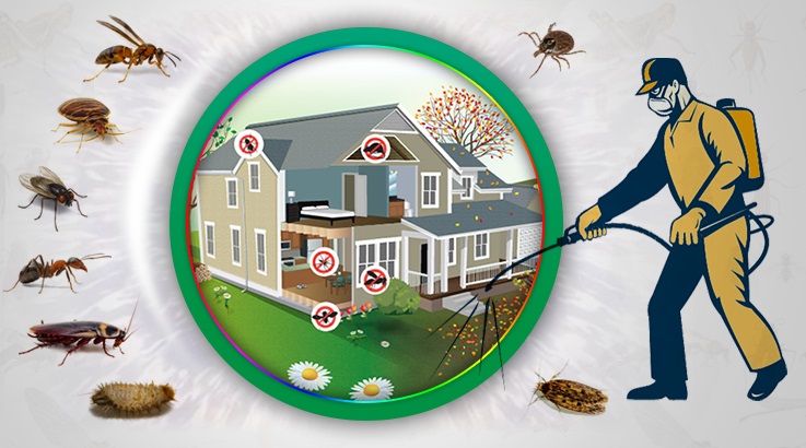 Viranşehir Böcek İlaçlama