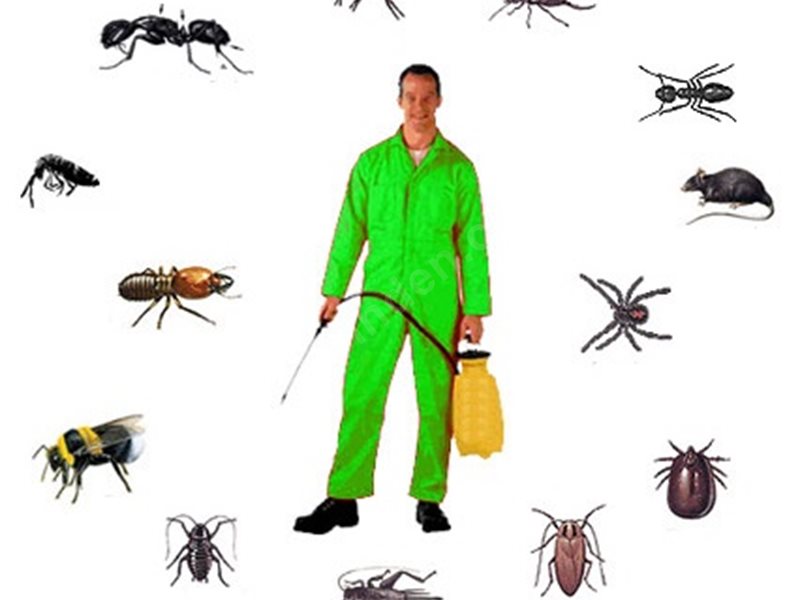 Viranşehir Böcek İlaçlama